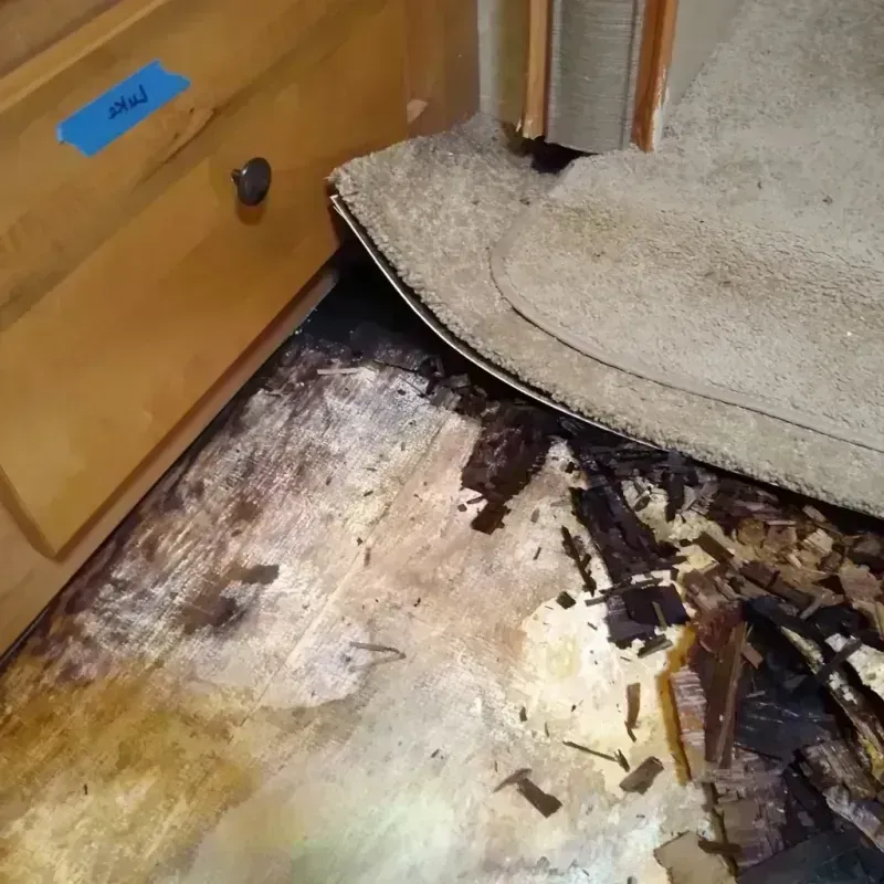 Wood Floor Water Damage in Frankfort, IL